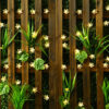Girlanda solarna ogrodowa, Kwiatki 20 LED - obrazek 10