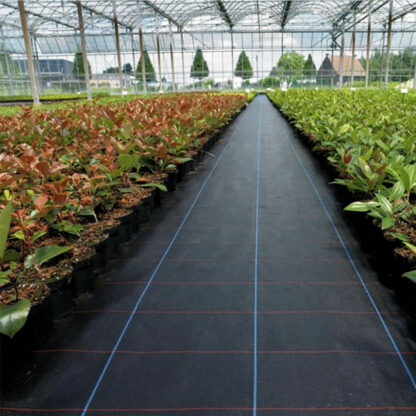 Agrowłóknina na chwasty czarna 90g/m 1,1x5m - obrazek 5