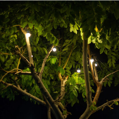 Girlanda solarna ogrodowa, Żarówki 10 LED - obrazek 6